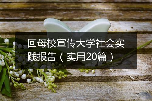 回母校宣传大学社会实践报告（实用20篇）