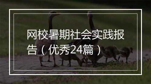 网校暑期社会实践报告（优秀24篇）