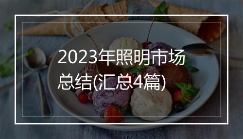 2023年照明市场总结(汇总4篇)