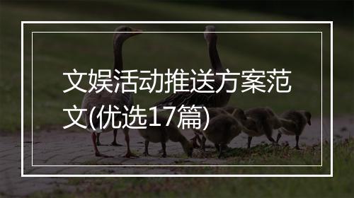 文娱活动推送方案范文(优选17篇)