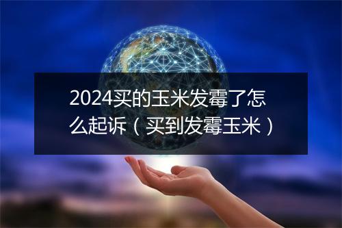 2024买的玉米发霉了怎么起诉（买到发霉玉米）