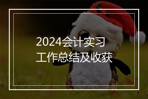 2024会计实习工作总结及收获