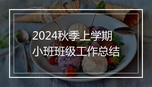 2024秋季上学期小班班级工作总结