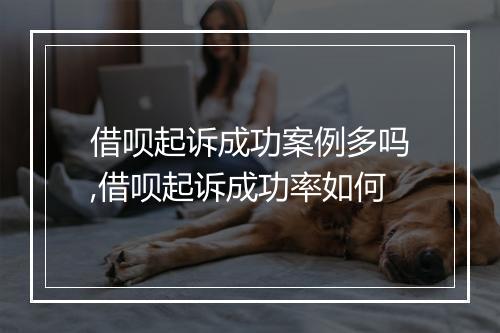 借呗起诉成功案例多吗,借呗起诉成功率如何
