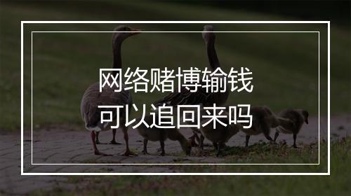 网络赌博输钱可以追回来吗