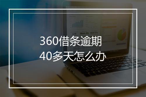 360借条逾期40多天怎么办