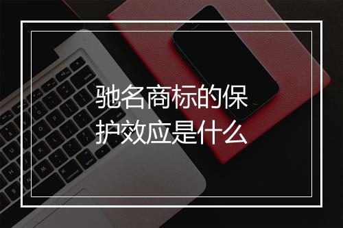 驰名商标的保护效应是什么
