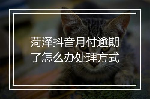 菏泽抖音月付逾期了怎么办处理方式