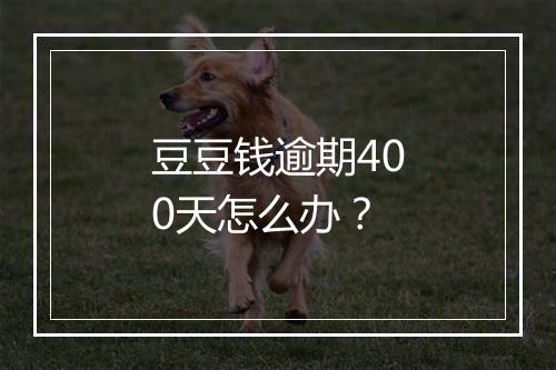 豆豆钱逾期400天怎么办？