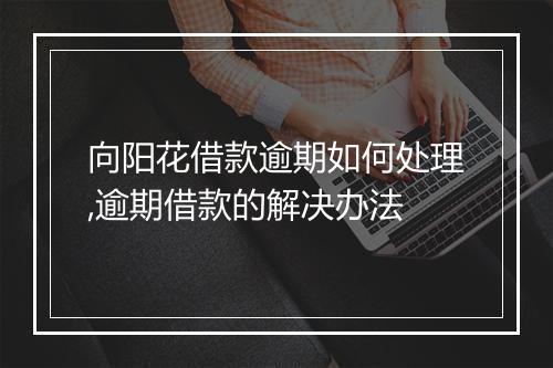 向阳花借款逾期如何处理,逾期借款的解决办法