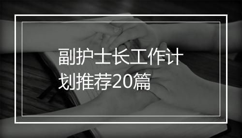 副护士长工作计划推荐20篇