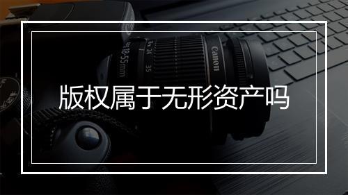 版权属于无形资产吗