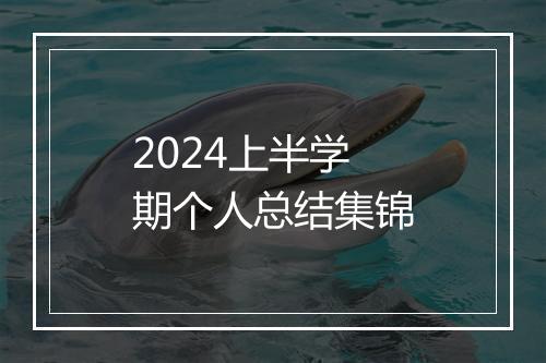 2024上半学期个人总结集锦