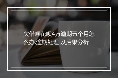 欠借呗花呗4万逾期五个月怎么办,逾期处理 及后果分析