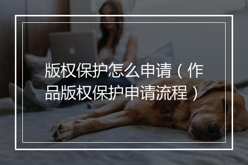 版权保护怎么申请（作品版权保护申请流程）