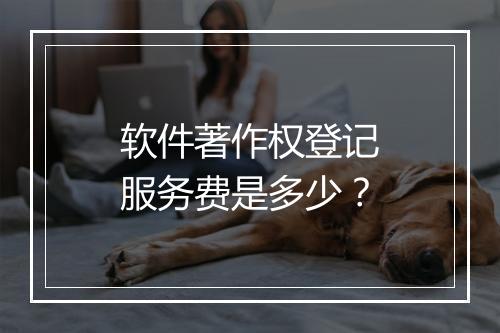 软件著作权登记服务费是多少？