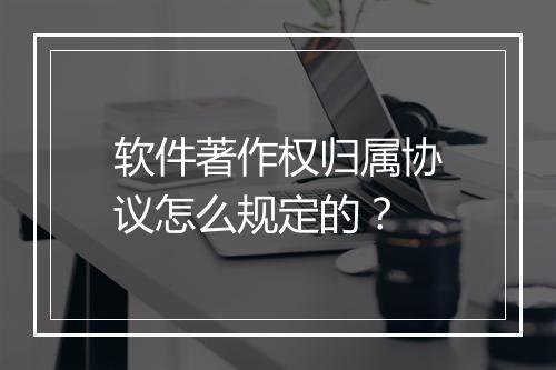 软件著作权归属协议怎么规定的？