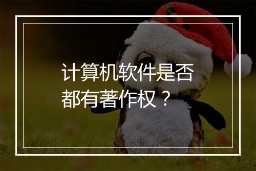 计算机软件是否都有著作权？