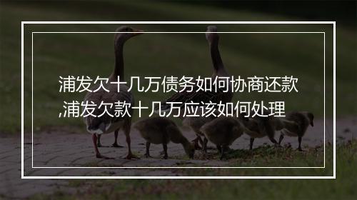 浦发欠十几万债务如何协商还款,浦发欠款十几万应该如何处理