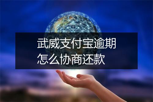 武威支付宝逾期怎么协商还款