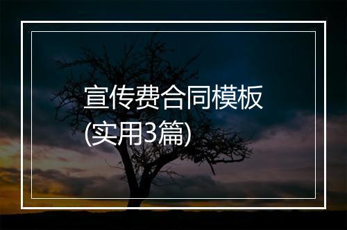 宣传费合同模板(实用3篇)