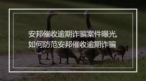安邦催收逾期诈骗案件曝光,如何防范安邦催收逾期诈骗