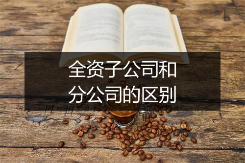 全资子公司和分公司的区别