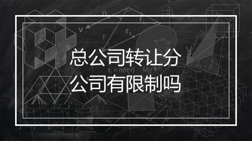 总公司转让分公司有限制吗
