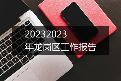 20232023年龙岗区工作报告