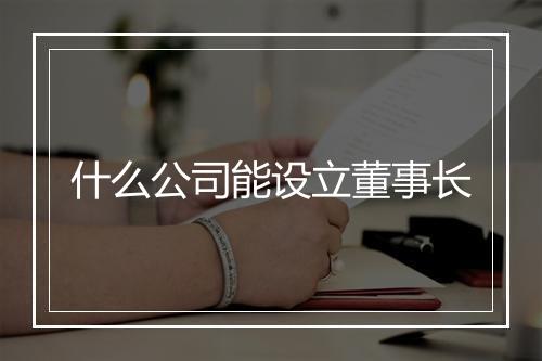 什么公司能设立董事长