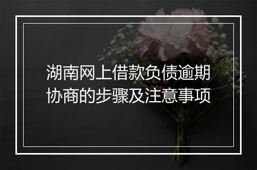 湖南网上借款负债逾期协商的步骤及注意事项