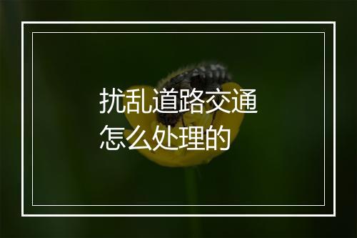 扰乱道路交通怎么处理的
