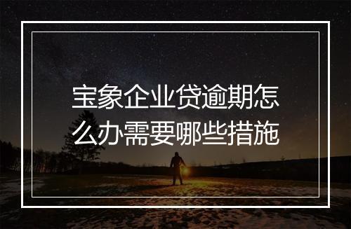 宝象企业贷逾期怎么办需要哪些措施