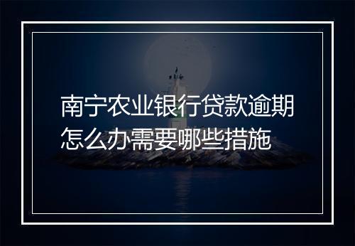 南宁农业银行贷款逾期怎么办需要哪些措施