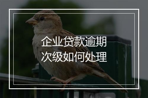 企业贷款逾期次级如何处理