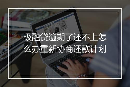 极融贷逾期了还不上怎么办重新协商还款计划