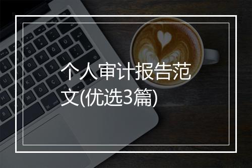 个人审计报告范文(优选3篇)