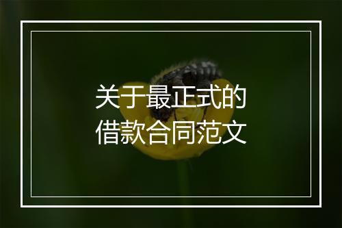 关于最正式的借款合同范文