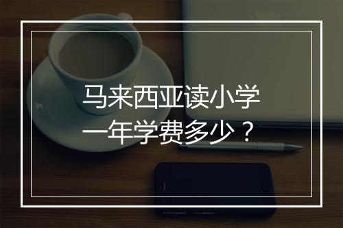 马来西亚读小学一年学费多少？