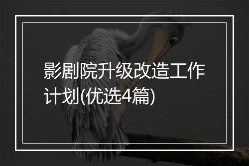 影剧院升级改造工作计划(优选4篇)