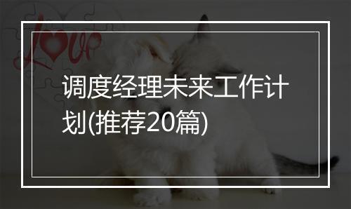 调度经理未来工作计划(推荐20篇)