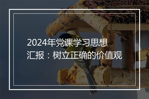 2024年党课学习思想汇报：树立正确的价值观