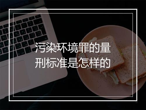 污染环境罪的量刑标准是怎样的