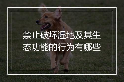 禁止破坏湿地及其生态功能的行为有哪些
