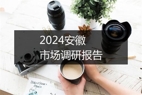 2024安徽市场调研报告