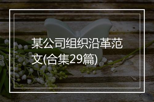 某公司组织沿革范文(合集29篇)