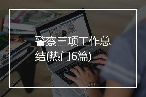 警察三项工作总结(热门6篇)