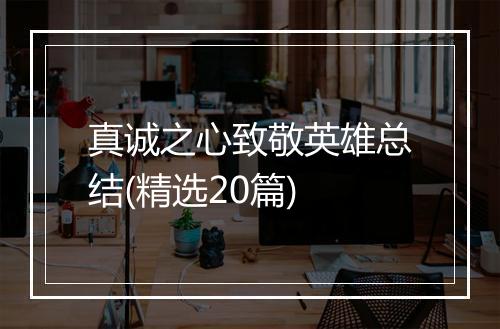 真诚之心致敬英雄总结(精选20篇)