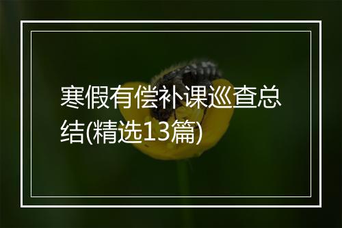寒假有偿补课巡查总结(精选13篇)