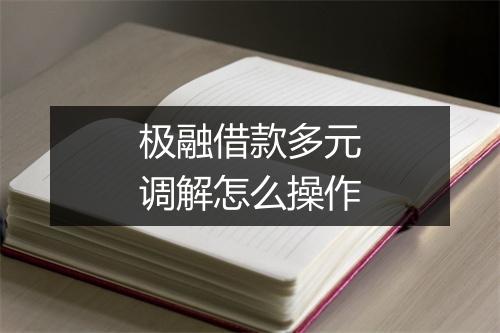 极融借款多元调解怎么操作